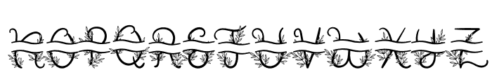 Foliage Monogram Font LOWERCASE