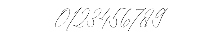Foresta Monesta Script Italic Font OTHER CHARS