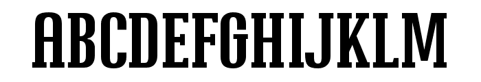 Fortress Slab Regular Font UPPERCASE