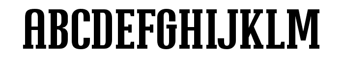 Fortress Slab Regular Font LOWERCASE