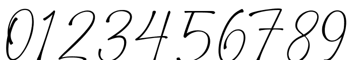 Fortuna Signature Font OTHER CHARS