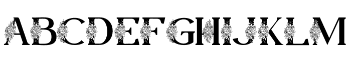 Fragie Monogram Font UPPERCASE