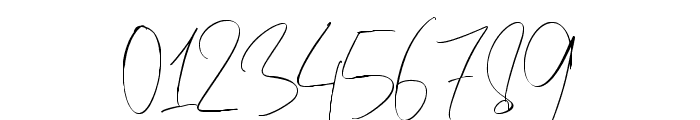 Frank Signature Regular Font OTHER CHARS