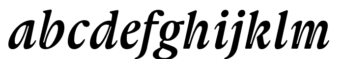 Frasha Italic Font LOWERCASE