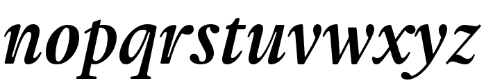 Frasha Italic Font LOWERCASE
