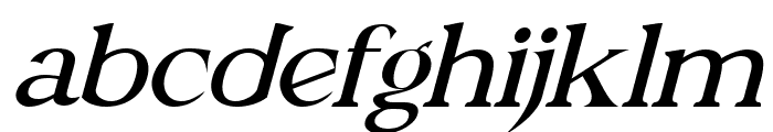 Fun Cat Italic Font LOWERCASE