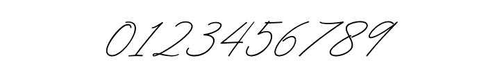 Funky Signature Font OTHER CHARS