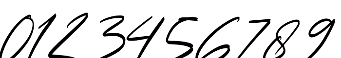 Futuristic Signature Italic Font OTHER CHARS