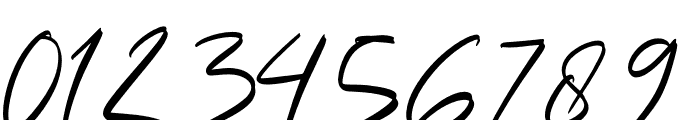 Futuristic Signature Font OTHER CHARS