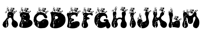 GROOVY WILDFLOWER Font UPPERCASE