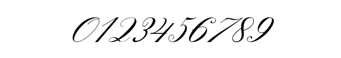 Gallisia Script Font OTHER CHARS
