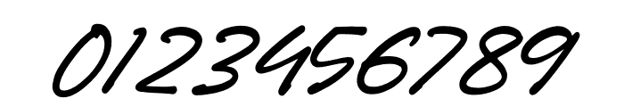 Gastony Signature Italic Font OTHER CHARS