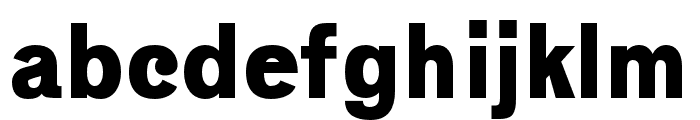Geneva-Sans regular Font LOWERCASE