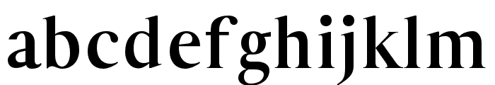 Geneva-Serif bold Font LOWERCASE