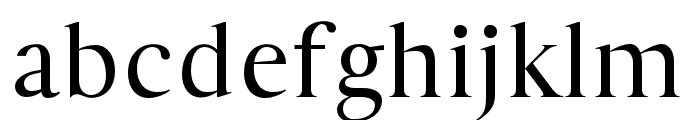 Geneva-Serif regular Font LOWERCASE