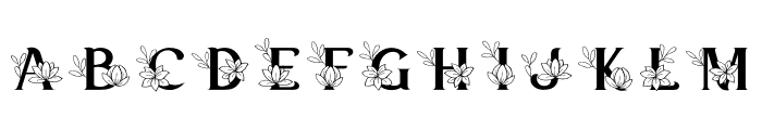 Georgia Monogram Font UPPERCASE