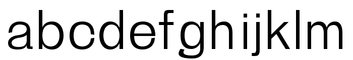 Gerard-Light Font LOWERCASE