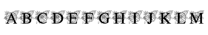 Gerbera Font UPPERCASE