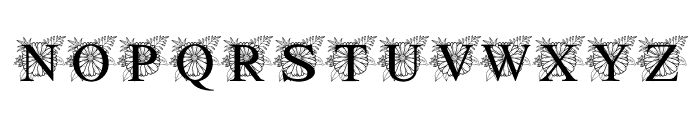 Gerbera Font UPPERCASE