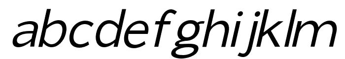 GianeGothicsans-Italic Font LOWERCASE