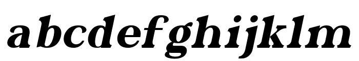 Gilden Italic Font LOWERCASE