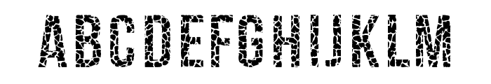 Giraffe Skin Font 1 Regular Font UPPERCASE