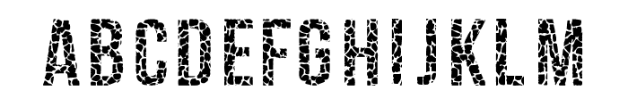 Giraffe Skin Font 1 Regular Font LOWERCASE