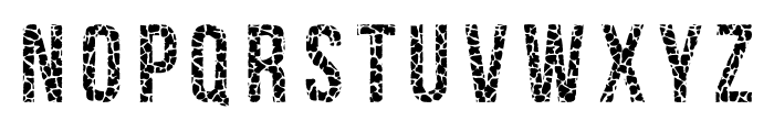 Giraffe Skin Font 2 Regular Font UPPERCASE