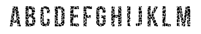 Giraffe Skin Font 2 Regular Font LOWERCASE