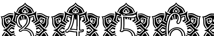 Glory Mandala Monogram Font OTHER CHARS