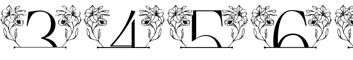 Gorgeous Floral Line Monogram Font OTHER CHARS