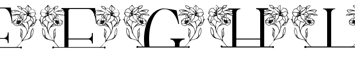Gorgeous Floral Line Monogram Font UPPERCASE
