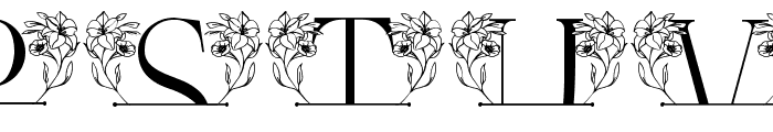 Gorgeous Floral Line Monogram Font LOWERCASE