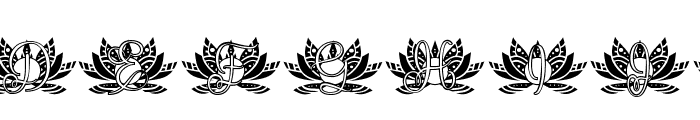 Great Lotus Mandala Monogram Font LOWERCASE