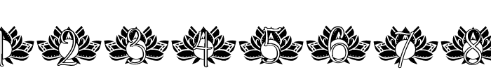 Grow Lotus Mandala Monogram Font OTHER CHARS