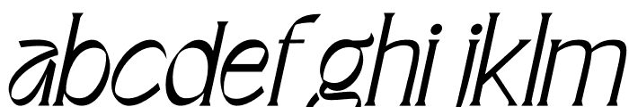 Guardian Typeface italic Italic Font LOWERCASE