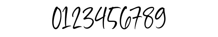 Gustavo Autograph Font OTHER CHARS