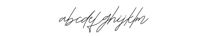 HOLLY SIGNATURE Font LOWERCASE