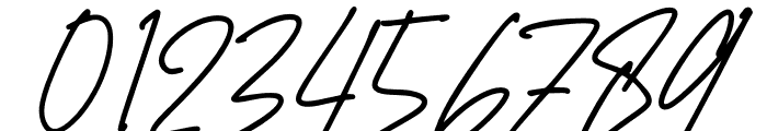 Hadejah Signature Font OTHER CHARS