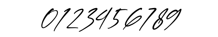 Halimunde Signature Italic Font OTHER CHARS