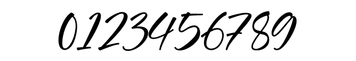 Hallucinate Signature  Font OTHER CHARS