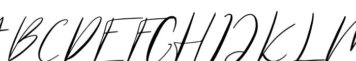 Hamburgen Signature Font UPPERCASE