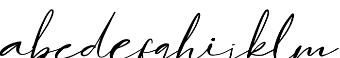 Hamburgen Signature Font LOWERCASE