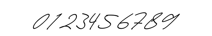 Hamiltton Signature Italic Font OTHER CHARS