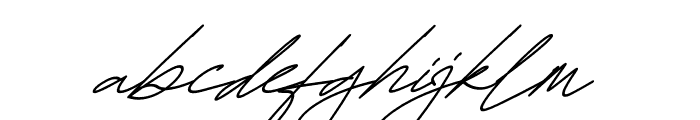 Hamiltton Signature Italic Font LOWERCASE