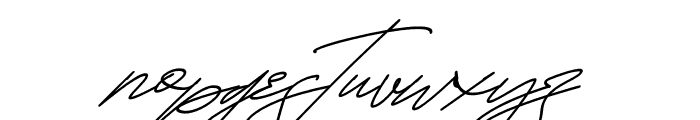 Hamiltton Signature Italic Font LOWERCASE