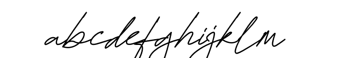 Hamiltton Signature Regular Font LOWERCASE