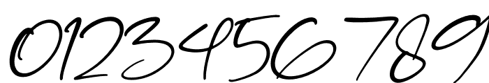 Handscript Signature Italic Font OTHER CHARS