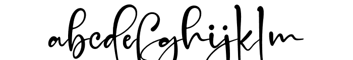 Handscript Signature Font LOWERCASE