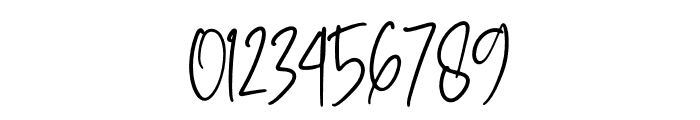 Handwritten Signature Font OTHER CHARS